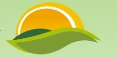 Green Meadows